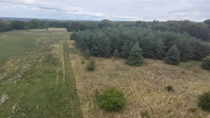 Prodej pozemku, Bechlín - Předonín, 15382 m2