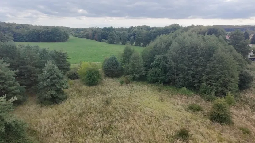 Prodej pozemku, Bechlín - Předonín, 15382 m2