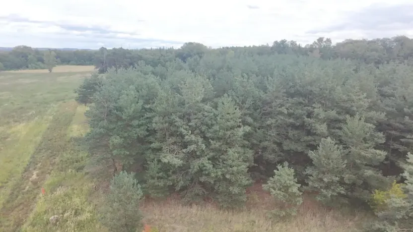 Prodej pozemku, Bechlín - Předonín, 15382 m2