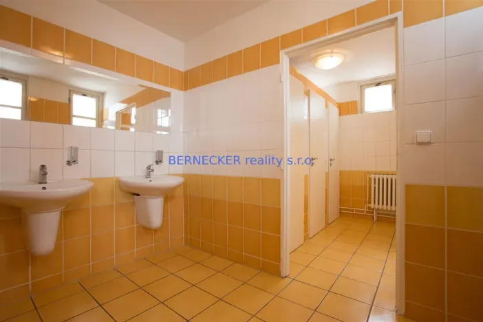 Pronájem kanceláře, Hradec Králové - Slezské Předměstí, Bieblova, 17 m2