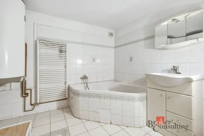 Prodej rodinného domu, Borovnička, 700 m2