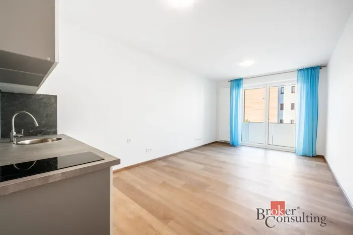 Pronájem bytu 1+kk, Olomouc - Nová Ulice, Třída Jiřího Pelikána, 31 m2