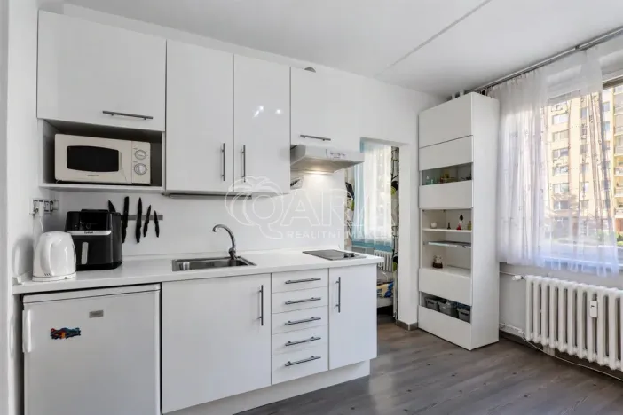 Prodej bytu 1+1, Praha - Chodov, Brodského, 29 m2