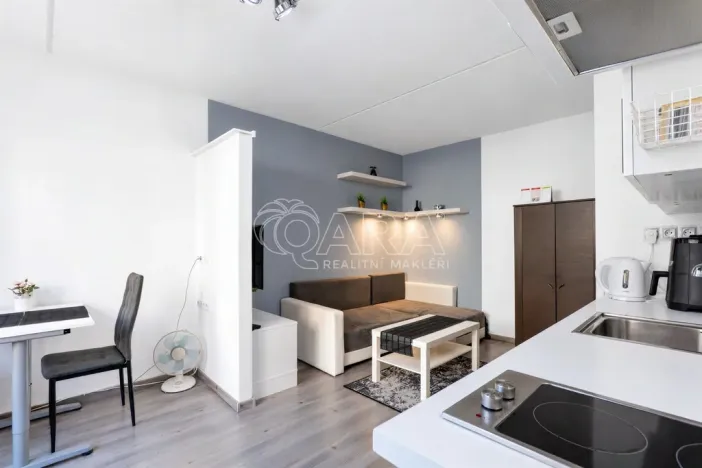 Prodej bytu 1+1, Praha - Chodov, Brodského, 29 m2