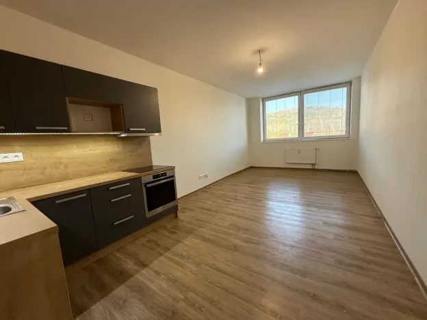 Pronájem bytu 1+kk, Ústí nad Labem, Velká Hradební, 30 m2