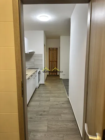 Pronájem bytu 2+kk, Praha, Vrchlického, 45 m2