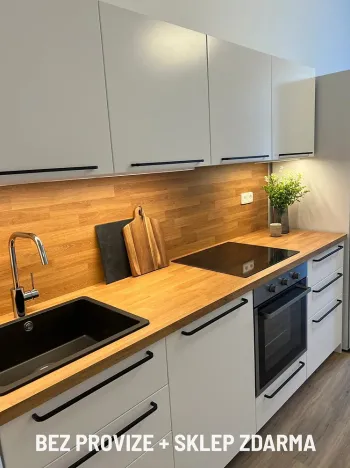 Pronájem bytu 2+kk, Praha - Bubeneč, Sládkova, 45 m2