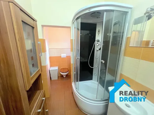 Pronájem bytu 1+1, Děčín, Oblouková, 45 m2