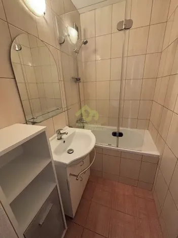 Pronájem bytu 1+1, Plzeň, Břeclavská, 39 m2
