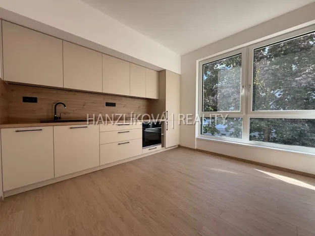 Pronájem bytu 2+kk, České Budějovice, Hálkova, 36 m2