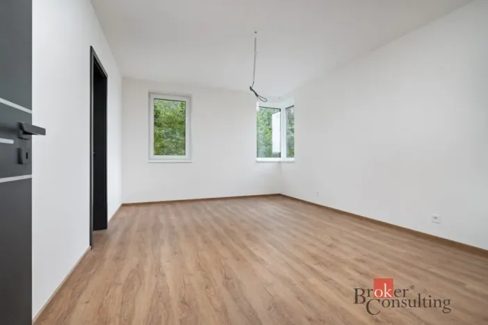Prodej vily, Plzeň - Červený Hrádek, Borůvková, 316 m2