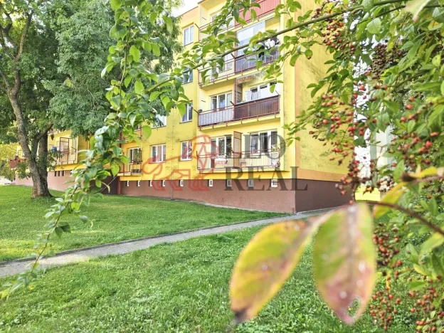 Prodej bytu 1+1, Příbor, npor. Loma, 32 m2