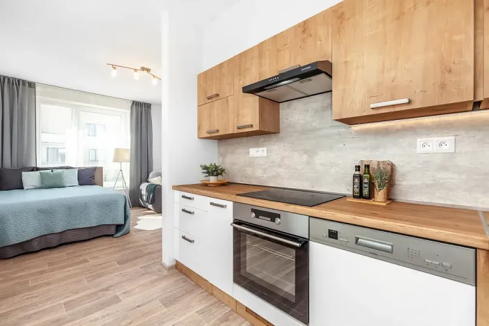 Pronájem bytu 1+1, Rychnov nad Kněžnou, Javornická, 42 m2