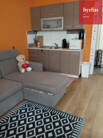 Pronájem bytu 1+kk, Ostrava, Na Hradbách, 32 m2
