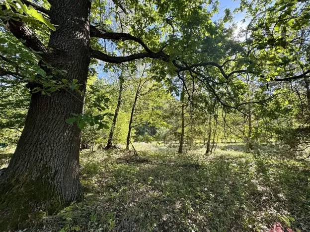 Prodej pozemku pro bydlení, Třeboň, 2630 m2