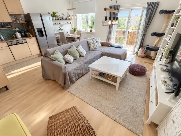 Prodej bytu 2+kk, Plzeň - Severní Předměstí, Elišky Krásnohorské, 67 m2
