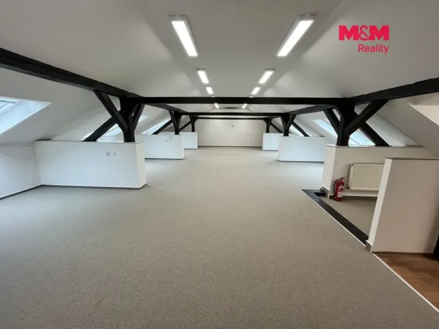 Pronájem kanceláře, Ostrava - Moravská Ostrava, Nemocniční, 277 m2