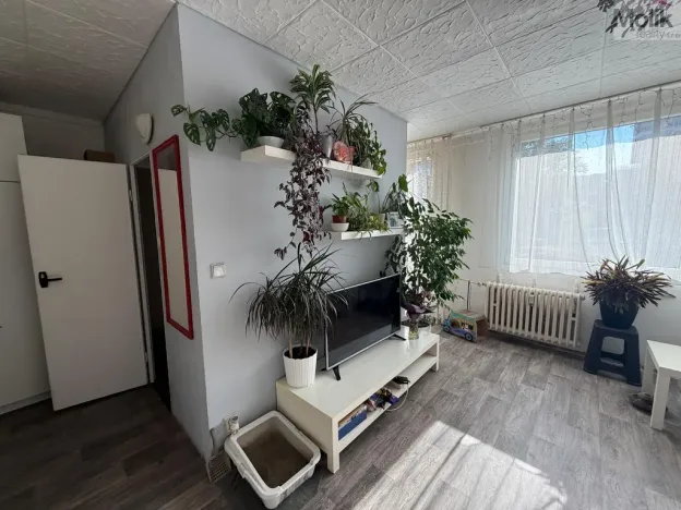 Pronájem bytu 1+1, Most, K. H. Borovského, 26 m2