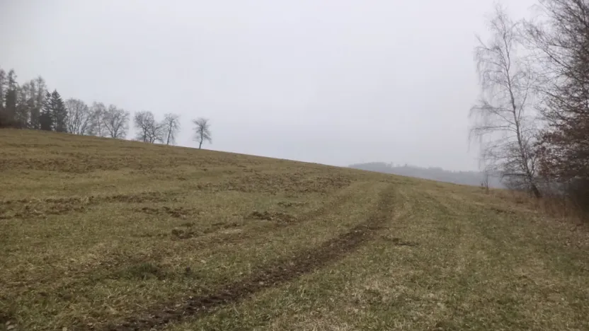 Prodej pole, Zvěstov - Bořkovice, 9983 m2