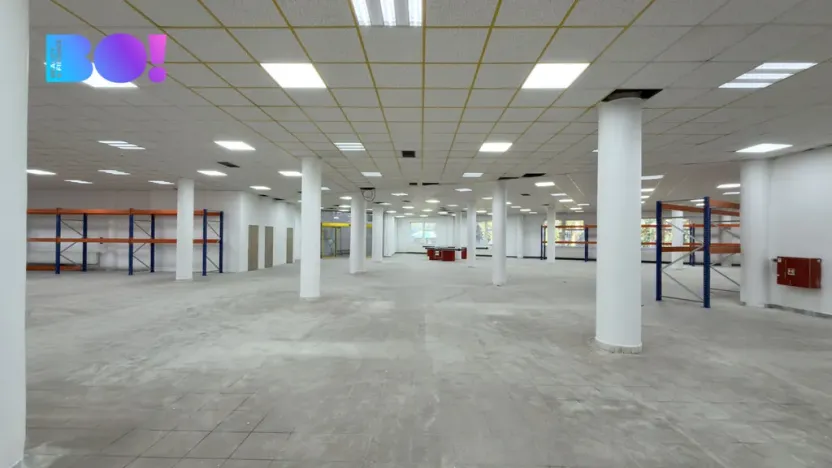 Pronájem obchodního prostoru, Karviná, Jaroslava Vrchlického, 1161 m2