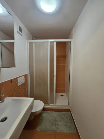 Pronájem bytu 1+kk, Plzeň, Čelakovského, 20 m2