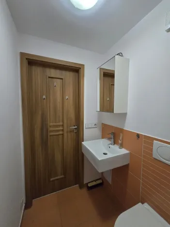 Pronájem bytu 1+kk, Plzeň, Čelakovského, 20 m2