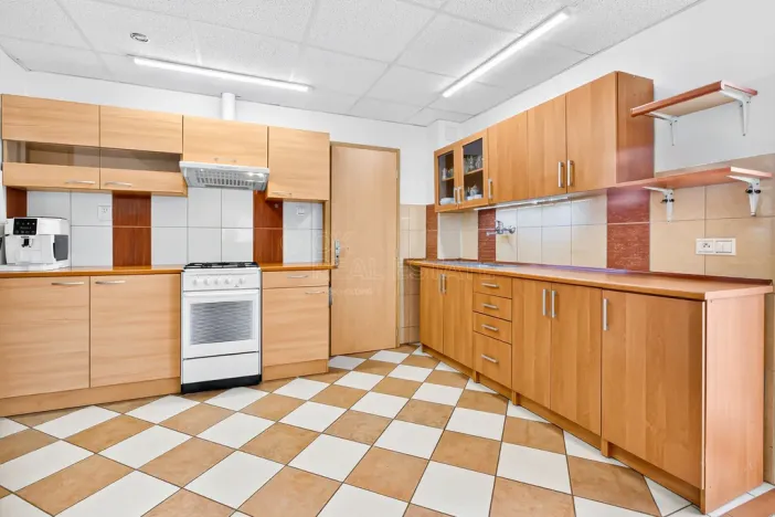 Prodej rodinného domu, Janovice nad Úhlavou, Spartakiádní, 370 m2