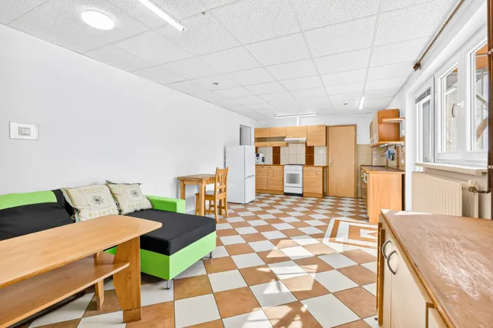 Prodej rodinného domu, Janovice nad Úhlavou, Spartakiádní, 370 m2
