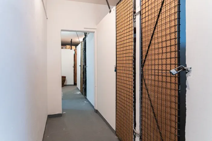 Prodej bytu 2+1, Brno - Žabovřesky, Fričova, 54 m2