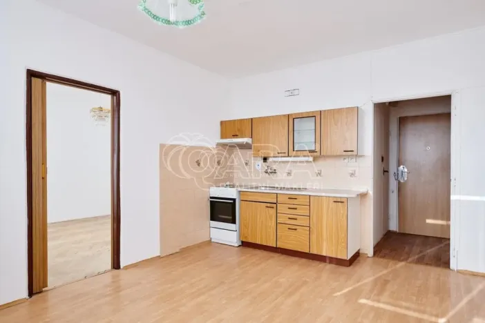 Pronájem bytu 1+1, Strakonice - Strakonice II, Luční, 37 m2