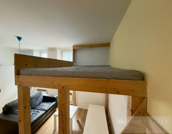 Pronájem bytu 1+kk, Plzeň, Rubešova, 25 m2
