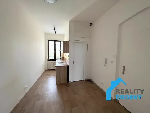 Pronájem bytu 1+1, Děčín, Horská, 36 m2
