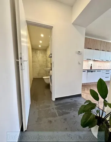 Pronájem bytu 2+kk, Praha - Žižkov, 79 m2