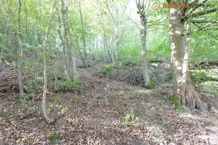 Prodej rodinného domu, Konice - Čunín, 97 m2