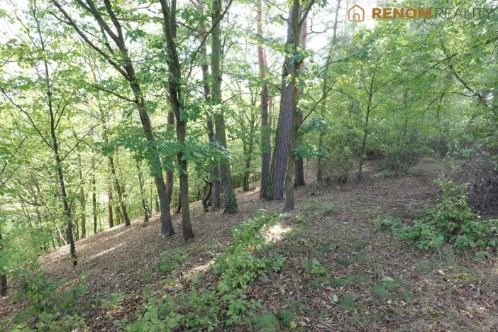 Prodej rodinného domu, Konice - Čunín, 97 m2