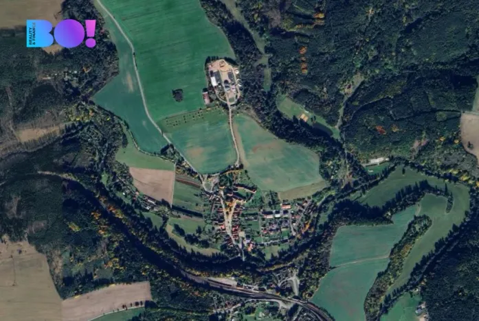 Prodej lesa, Svojšín, 1625 m2