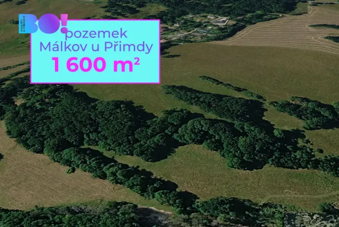 Prodej pole, Přimda, 1600 m2