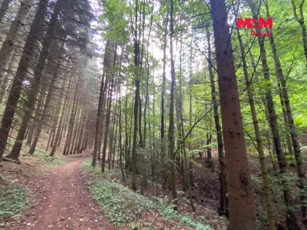 Prodej louky, Strážná, 2261 m2