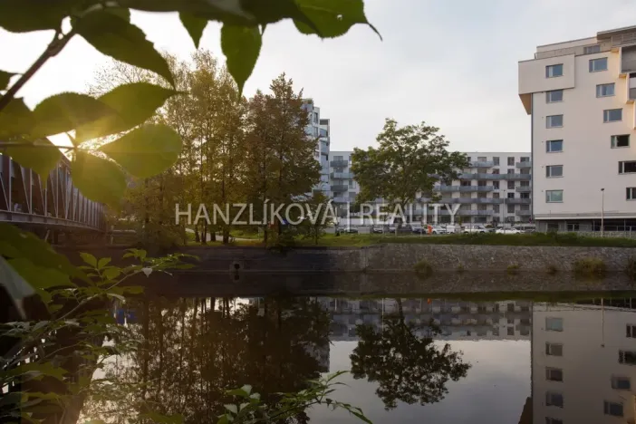 Pronájem bytu 1+kk, České Budějovice - České Budějovice 2, Volejbalistů, 30 m2