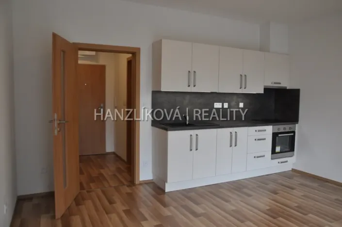 Pronájem bytu 1+kk, České Budějovice - České Budějovice 2, Volejbalistů, 30 m2