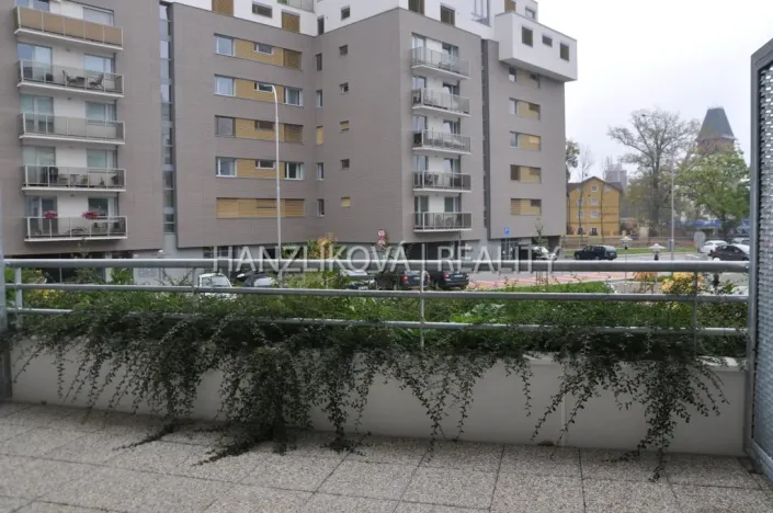 Pronájem bytu 1+kk, České Budějovice - České Budějovice 2, Volejbalistů, 30 m2