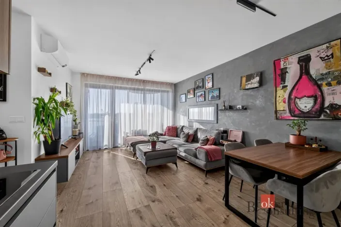 Prodej bytu 2+kk, Plzeň - Jižní Předměstí, U Borského parku, 56 m2