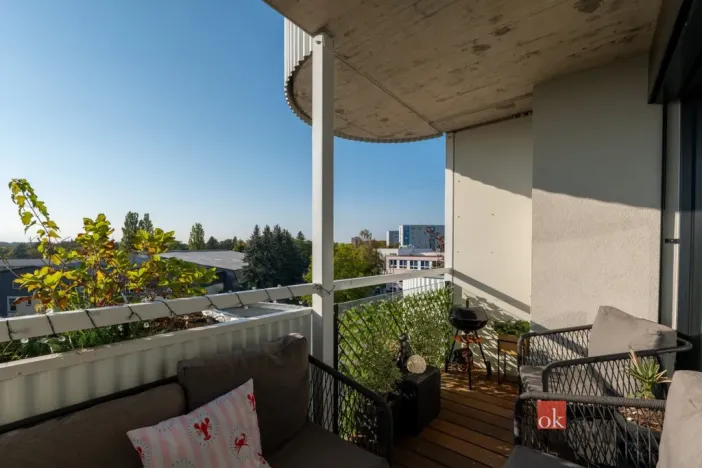 Prodej bytu 2+kk, Plzeň - Jižní Předměstí, U Borského parku, 56 m2