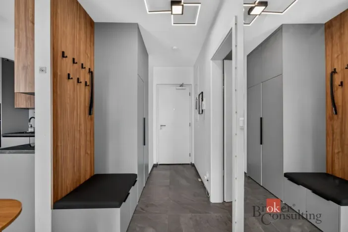 Prodej bytu 2+kk, Plzeň - Jižní Předměstí, U Borského parku, 56 m2