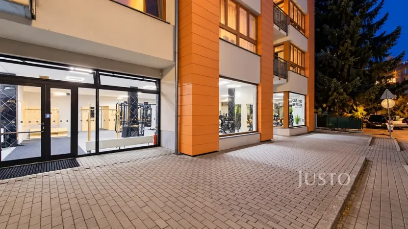 Prodej obchodního prostoru, Písek - Pražské Předměstí, V Portyči, 229 m2