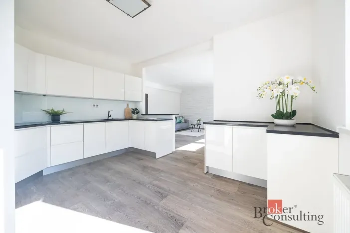 Prodej bytu 5+kk, Praha - Hodkovičky, Údolní, 135 m2