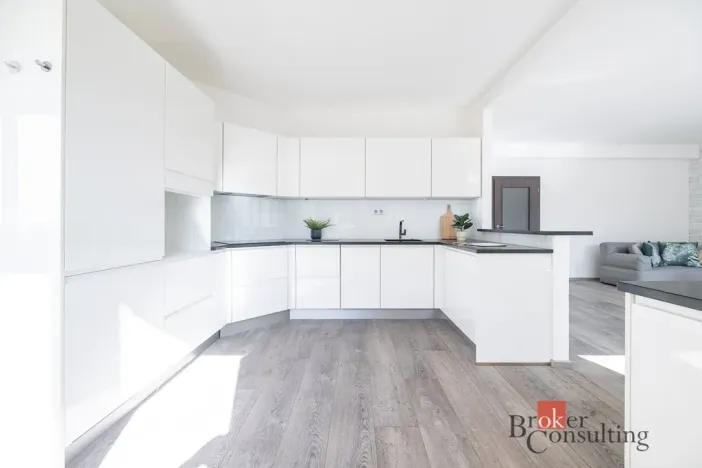 Prodej bytu 5+kk, Praha - Hodkovičky, Údolní, 135 m2