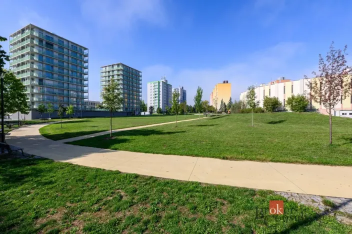 Prodej bytu 1+1, Plzeň - Bolevec, Žlutická, 39 m2