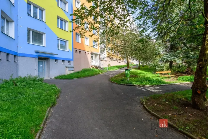 Prodej bytu 1+1, Plzeň - Bolevec, Žlutická, 39 m2