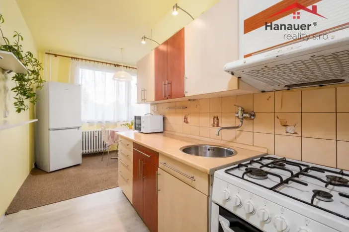 Prodej bytu 2+1, Děčín - Děčín VI-Letná, Školní, 63 m2